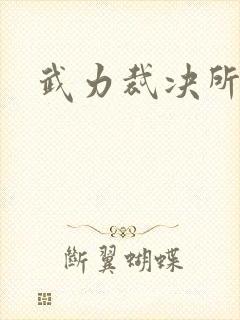 武力裁决所