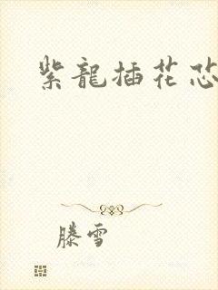 紫龙插花芯