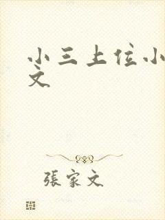 小三上位小说全文封面