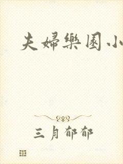 夫妇乐园小说