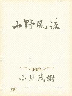 山野风流封面