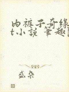 内裤子奇缘txt小说 笔趣阁