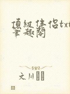 顶级伴侣txt笔趣阁