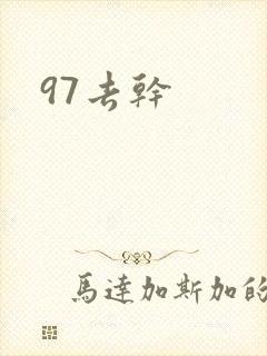 97去干封面