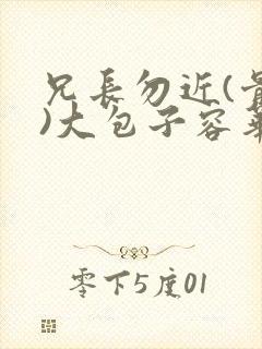 兄长勿近(骨科)大包子容华