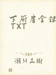 下厨房金银花露 TXT封面