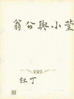 翁公与小莹封面