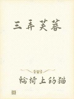 三弄芙蓉封面