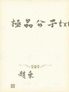 极品公子txt