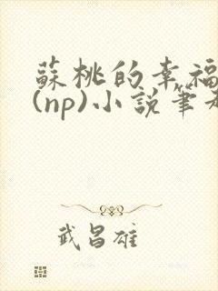 苏桃的幸福生活(np)小说笔趣阁沐沐