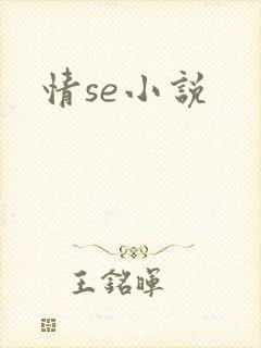 情se小说