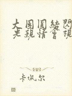 大团圆结闪闪发光亲情会视频封面