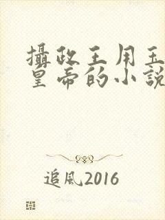 摄政王用玉髓整皇帝的小说