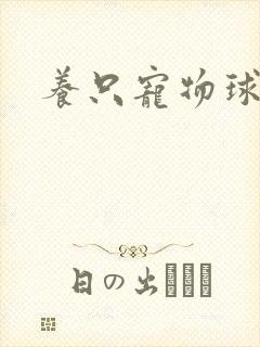 养只宠物球