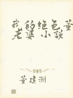 我的绝色董事长老婆 小说