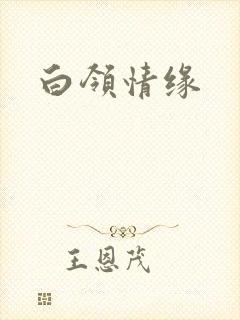 白领情缘
