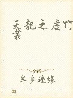 天龙之虚竹戏花丛封面