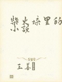 柴火垛里的疯狂小说