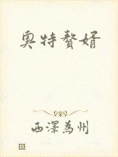 奥特赘婿