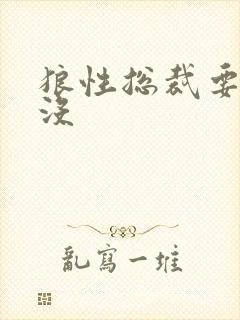 狼性总裁要够了没