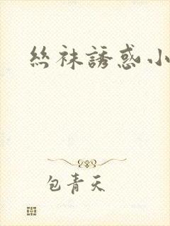 丝袜诱惑小说