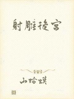 射雕后宫封面