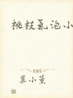 桃枝气泡小说