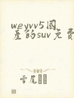 weyvv5国产的suv免费