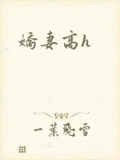 娇妻高h