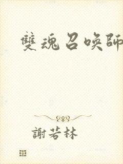 双魂召唤师封面