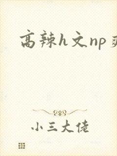 高辣h文np爽