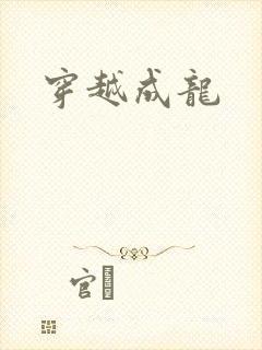 穿越成龙