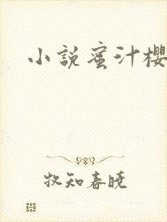 小说蜜汁樱桃
