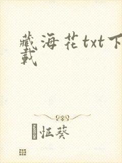 藏海花txt下载