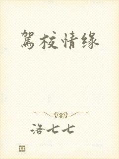 驾校情缘