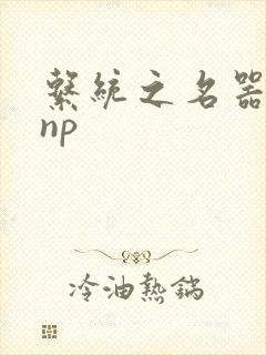 系统之名器攻略np