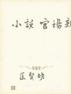 小说 官场新贵