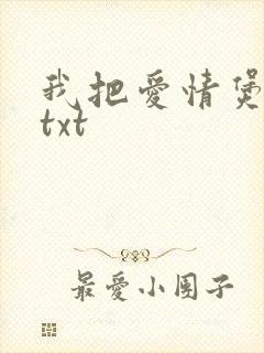 我把爱情煲成汤txt