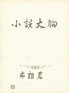 小说大胸封面