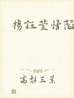 杨钰莹情陷红楼