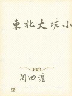 东北大坑小说
