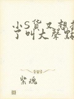 小S货又想挨C了叫大声点小