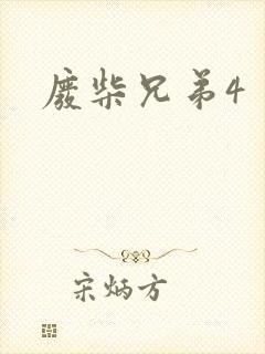 废柴兄弟4封面