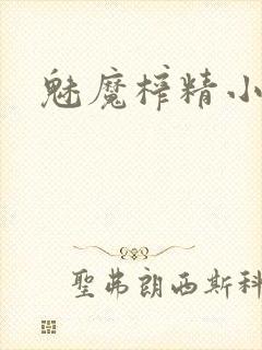 魅魔榨精小说
