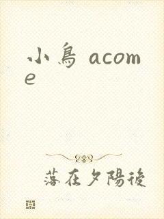 小鸟 acome