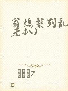 翁熄系列乱 (老扒)