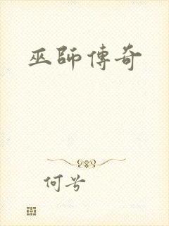巫师传奇封面