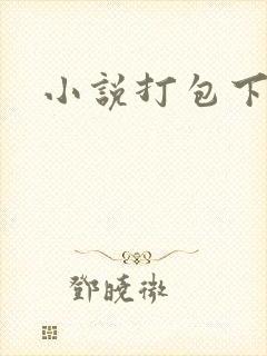 小说打包下载封面