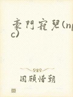 豪门宠儿(npc)