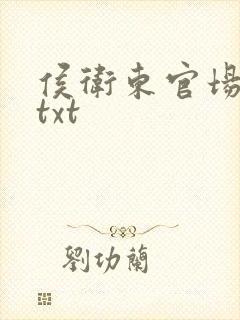 侯卫东官场笔记txt封面